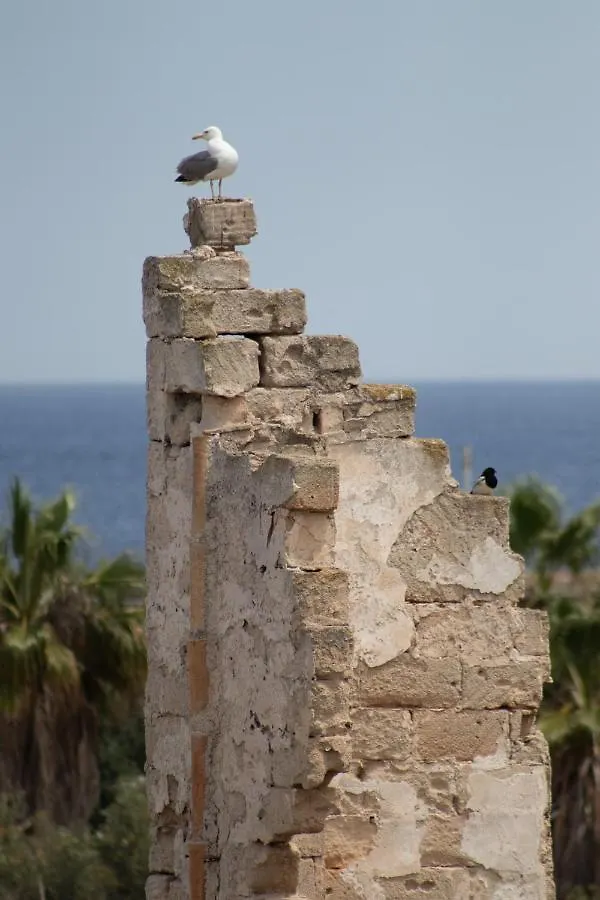 Casa Del Corallo Favignana